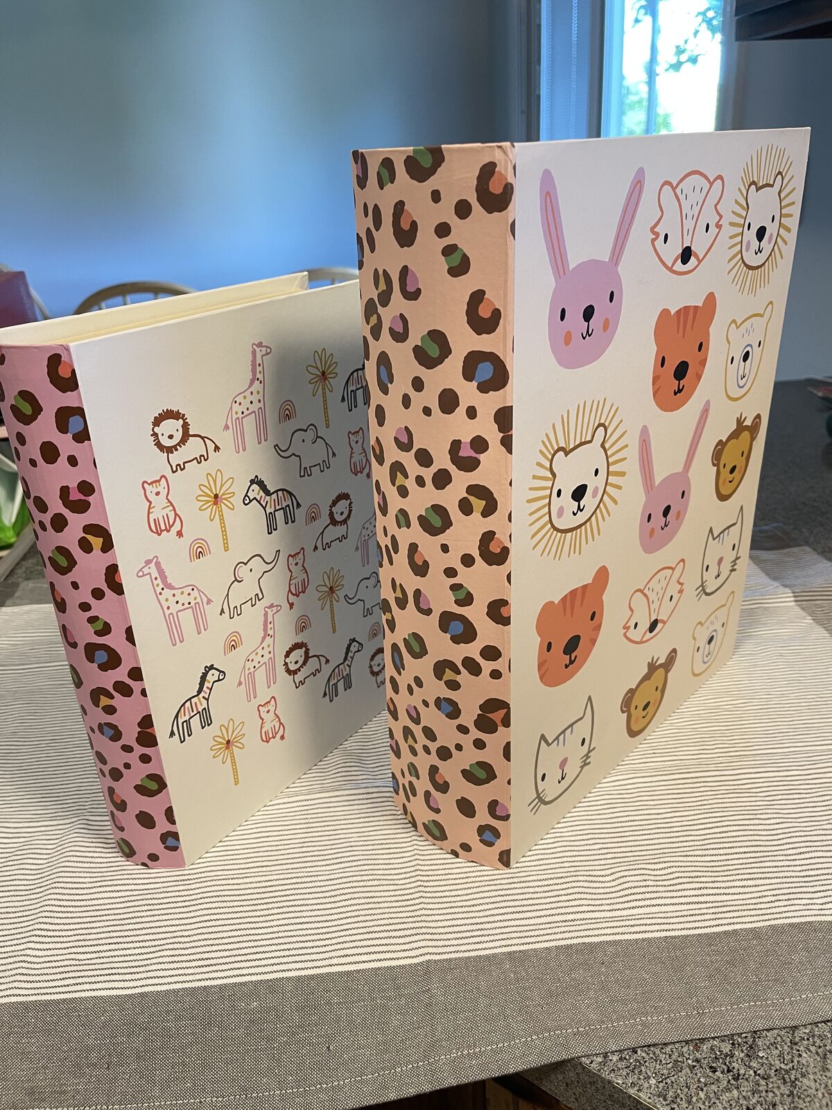 Hollow Magnetic Books