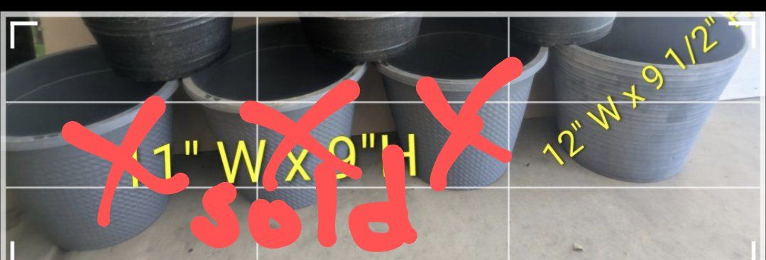 Main image 5
