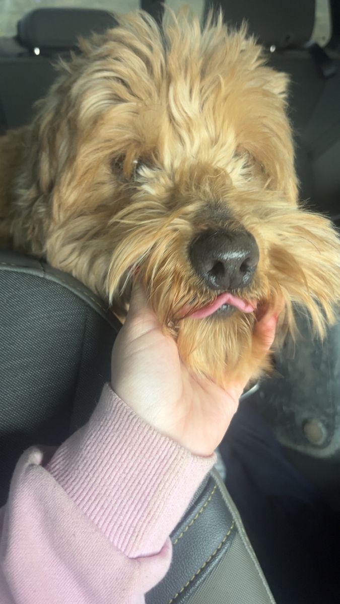 Minnie Golden Duddle