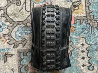 29x2.4 E*thirteen All Terrain TR Control