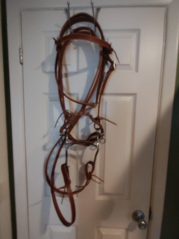 New hackamore bridal set