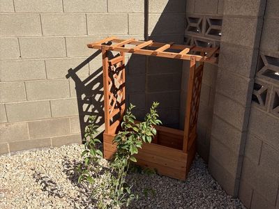 New Yard stands for plants