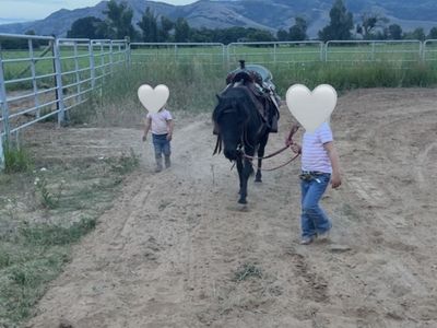 Kids pony