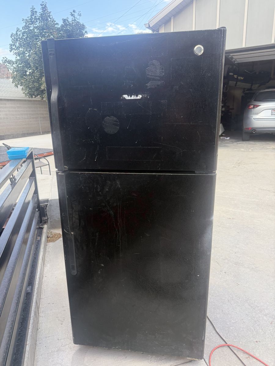 Free stand up fridge/freezer
