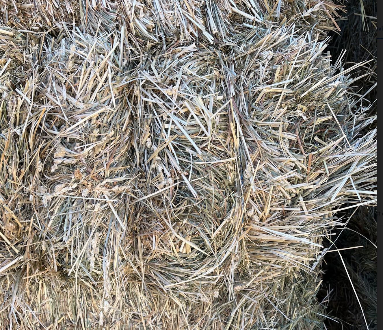 TRADE- Grass hay for Farrier work