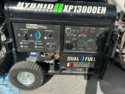 Dual fuel generator