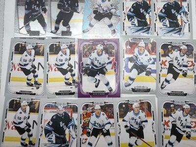 Utah Mammoth Hockey Card Lot (15)