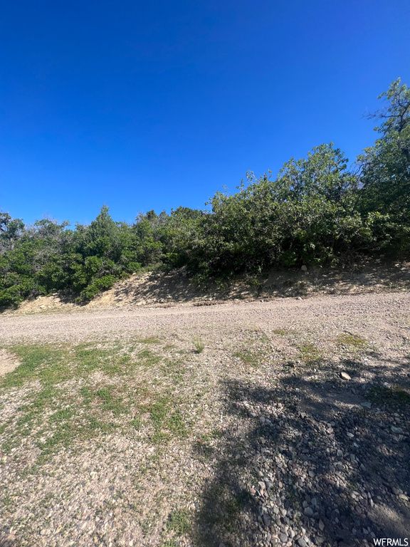 Main image 16