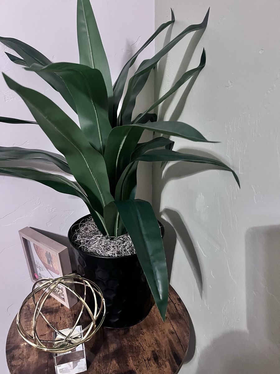 Cute fake plant