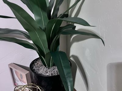 Cute fake plant