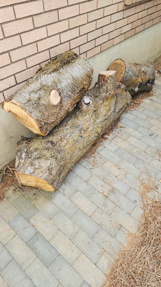 Cherry Wood Logs