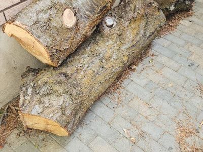 Cherry Wood Logs