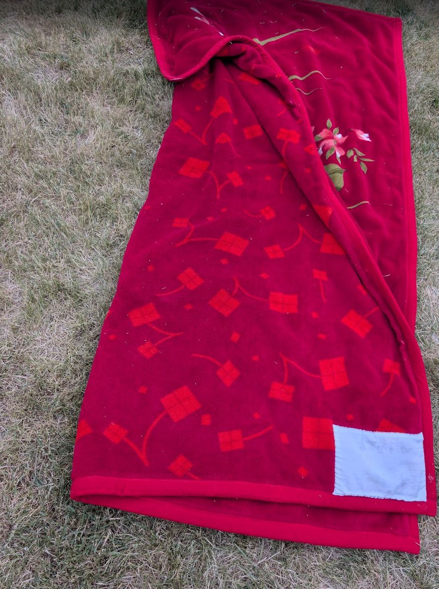 Main image 3