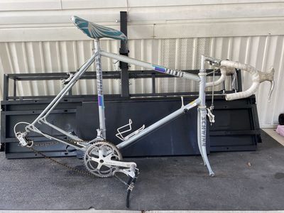 Schwinn Columbus frameset only . No components included