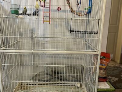 Flight Cage With Or Without Two Budgies Parakeets