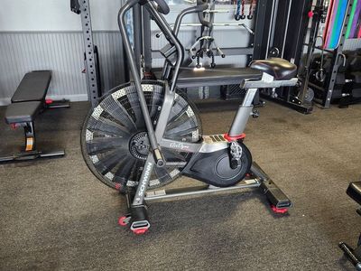 Schwinn Pro Airdyne Assault Style Airbike