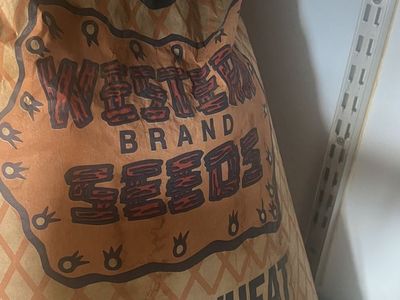 Wheat Seed