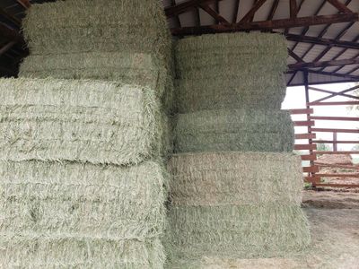 3x3 Grass hay bales
