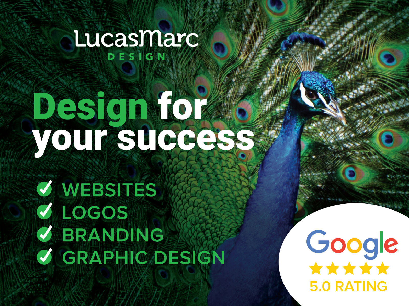 Graphic Design | Website Development | Business Marketing | Logo Design | and More!