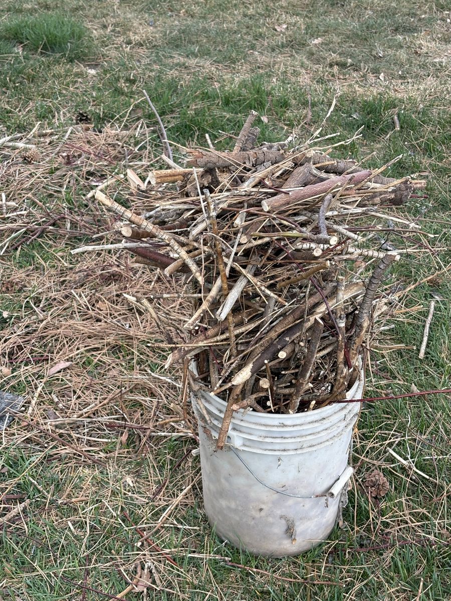 Kindling For CampFires