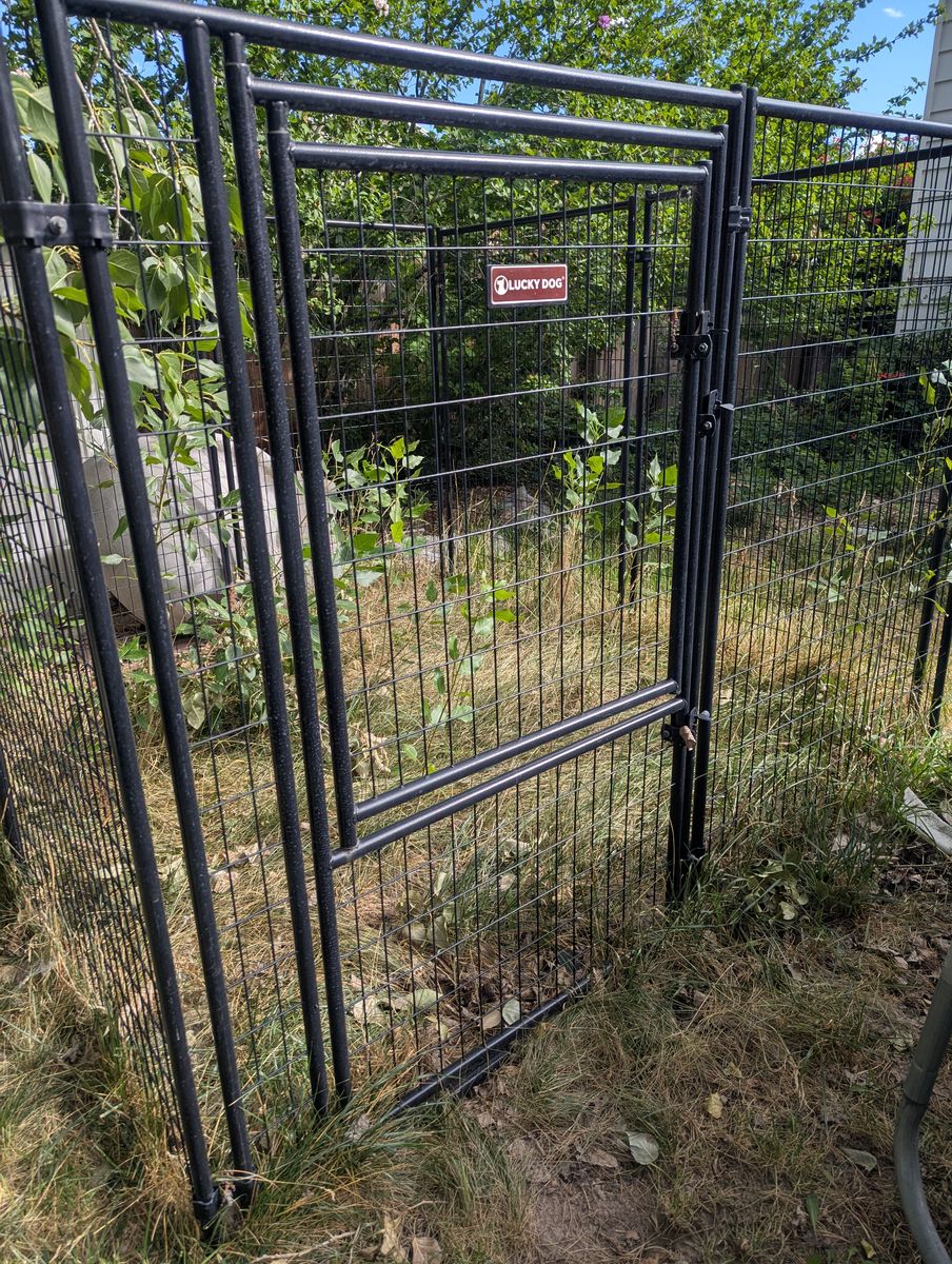 8 x Kennel with roof and shade