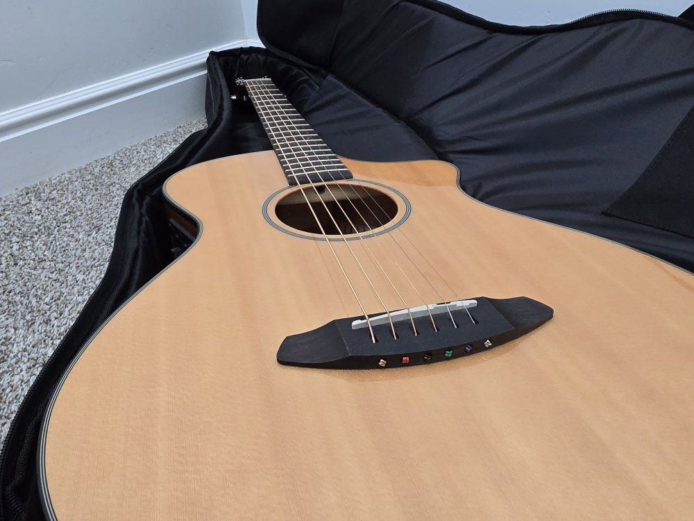 Breedlove Discovery Concertina CE Guitar