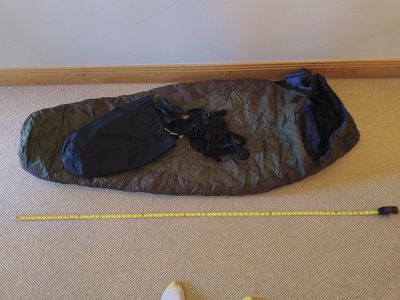 Desert Pine Youth 20 Degree Sleeping Bag - Kids' Olive Green/Blue
