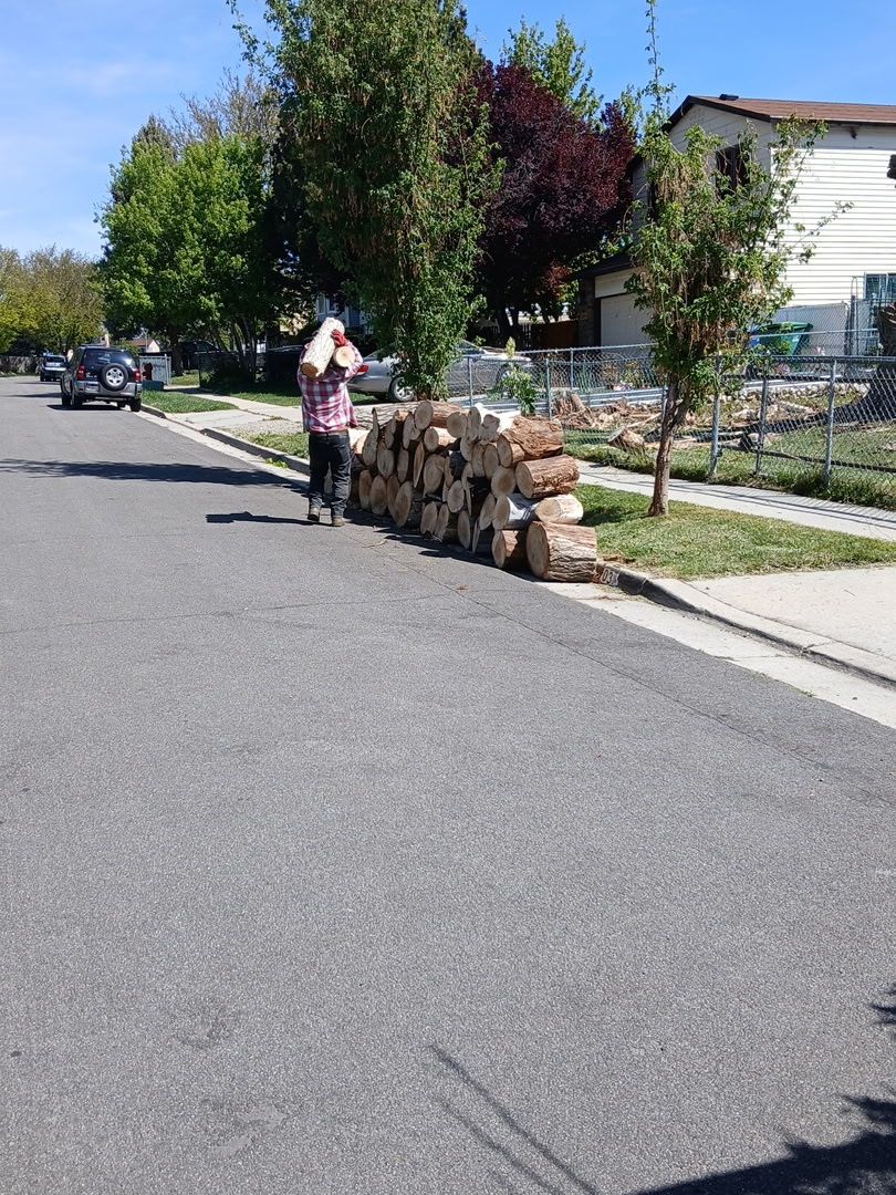Free dry firewood