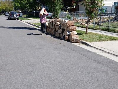 Free dry firewood