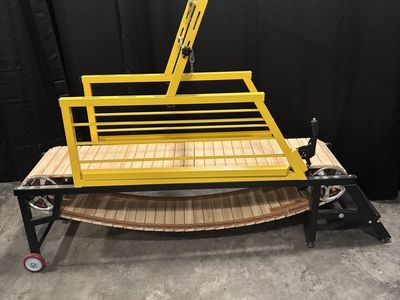 Dog Treadmill