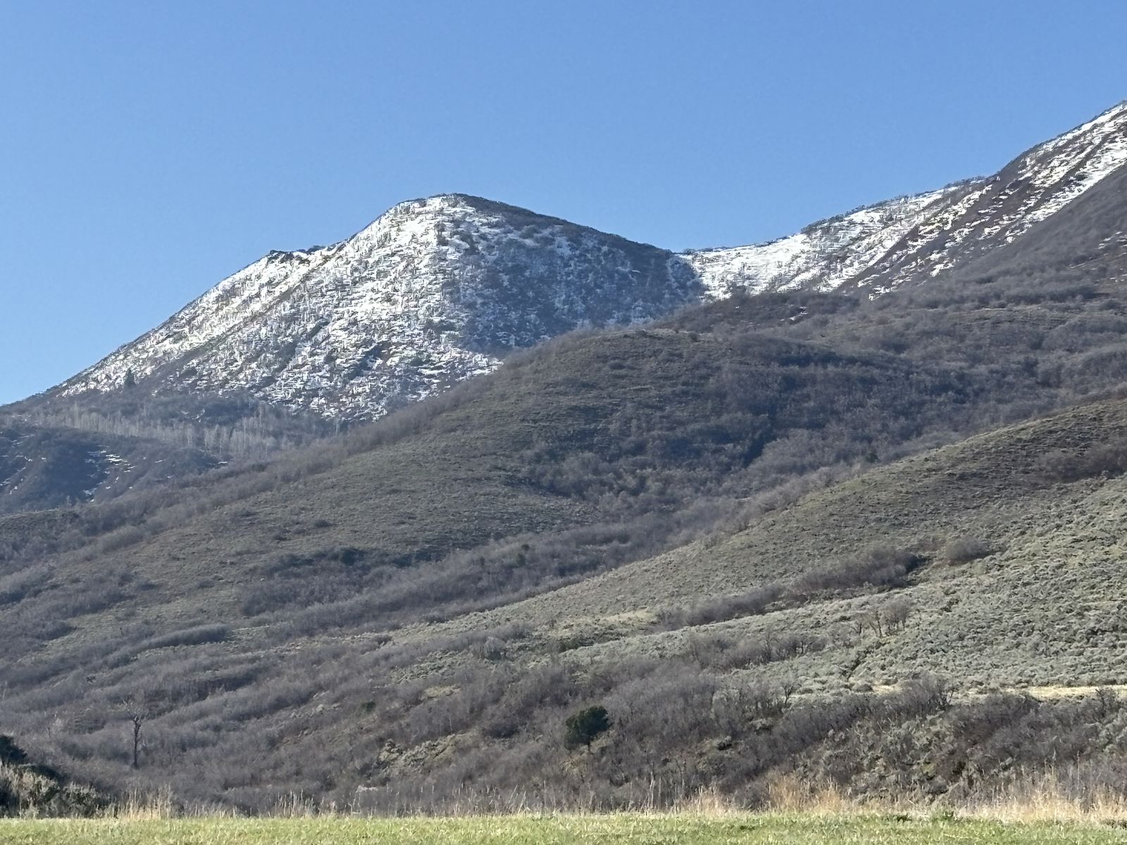 Multi-Acre Mountain View Lots