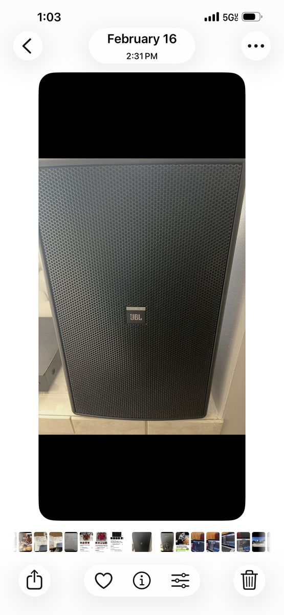 jBL Control 30 250w 10 Inch