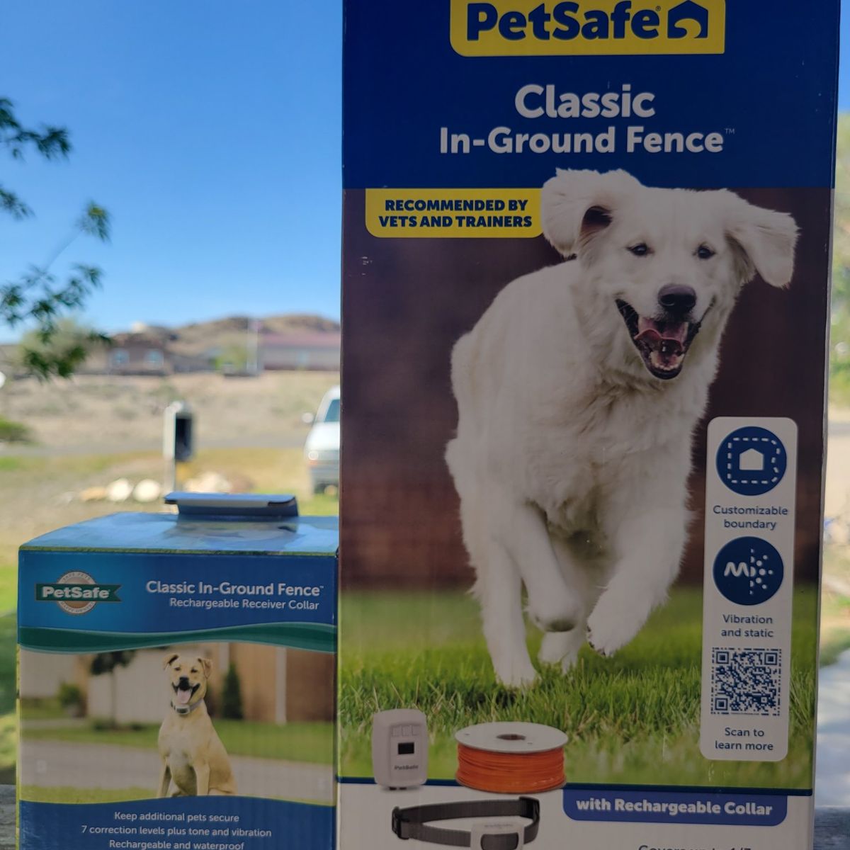 Dog in-ground fence
