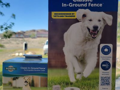 Dog in-ground fence