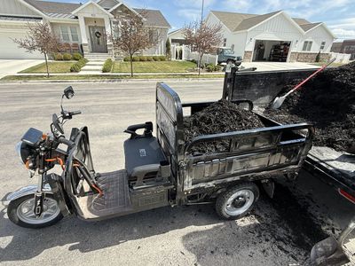 Electric Utility Trike