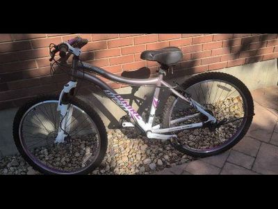 Genesis Whirlwind Mountain Bike