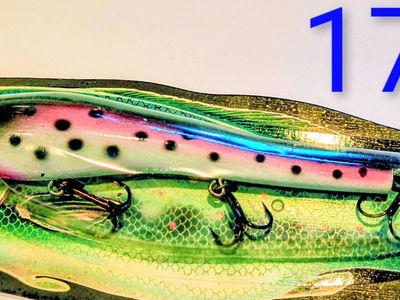 Poe's 6" Shallow Depth Crankbait 2-3 Feet