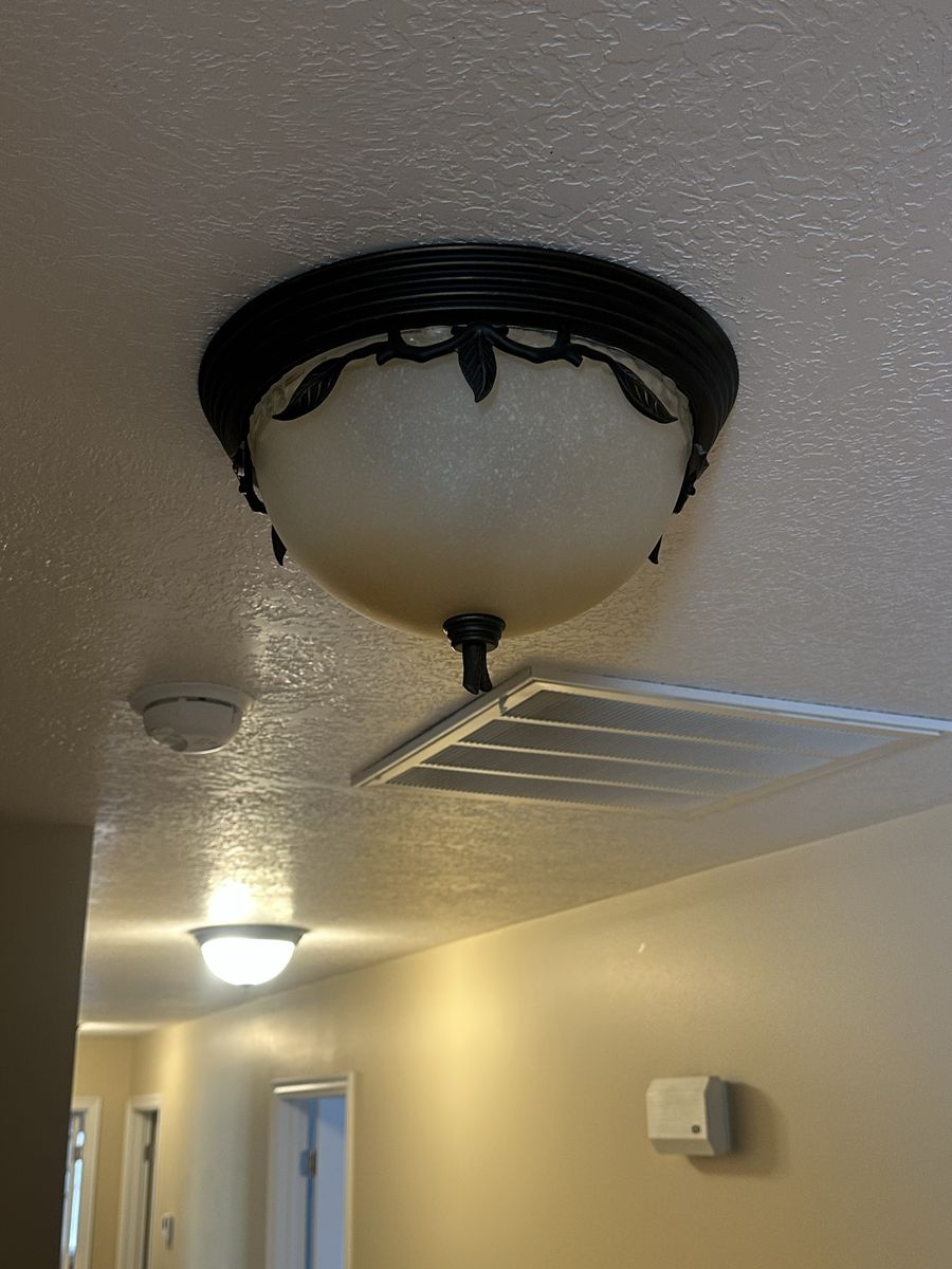 Ceiling Light