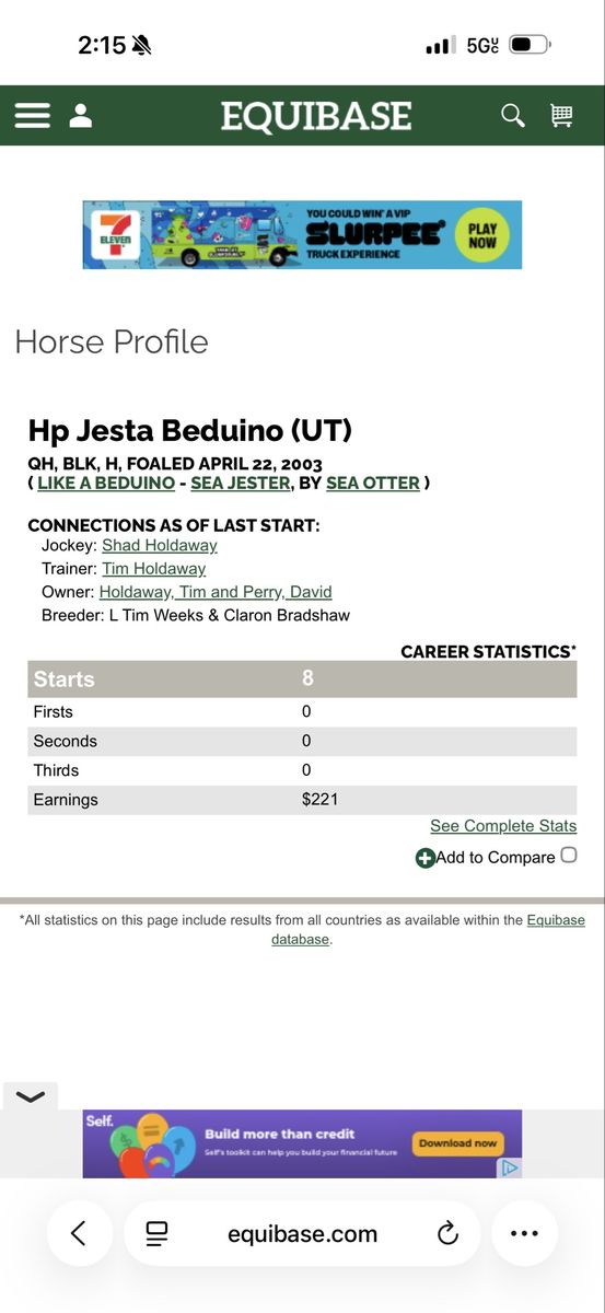 2003 Gelding