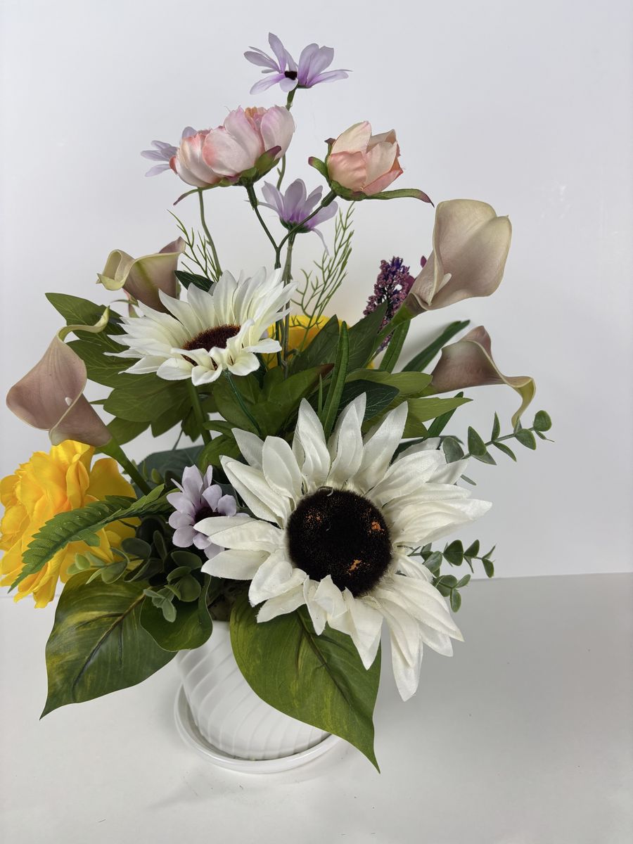 Main image 5
