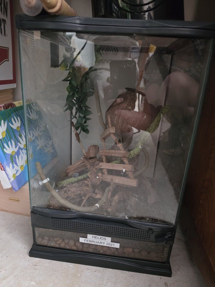 Used Reptile Terrarium w/ Substrate, Climbing Decor & Coconut Hide, 12x12x18