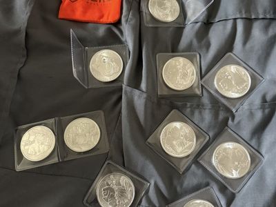 10 oz .999 silver rounds