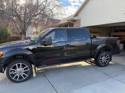 2010 FORD F150 Platinum