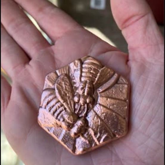Hand poured copper .999 fine copper bee 3+ oz