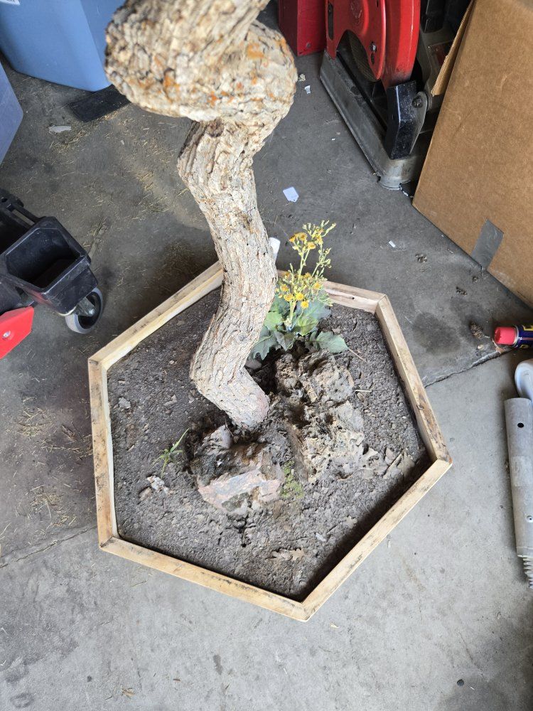 Main image 3