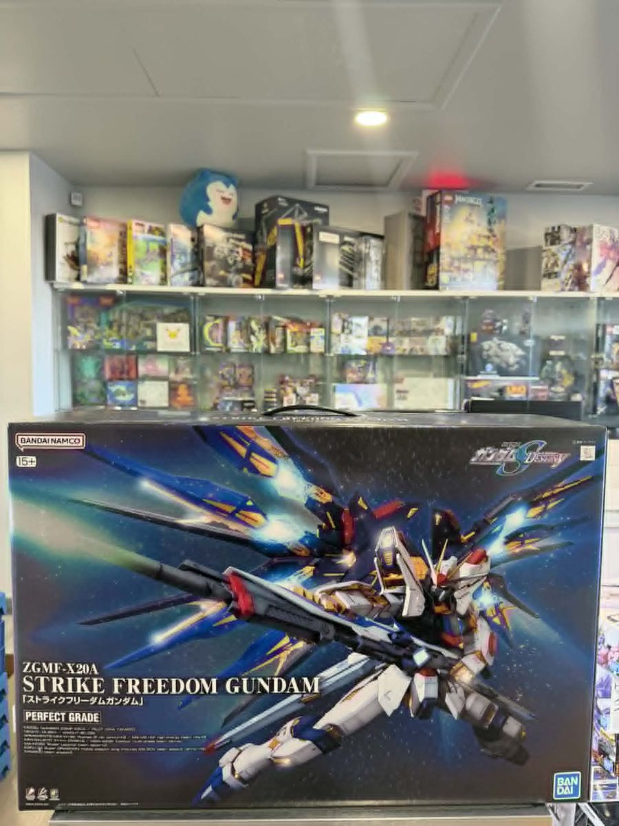 Brand new Gundam Model Kit: PG 1/60 - Strike Freedom Gundam
