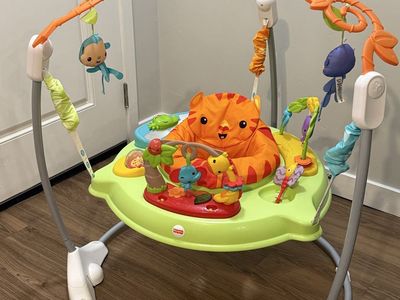 Fisher-Price Baby Jumper