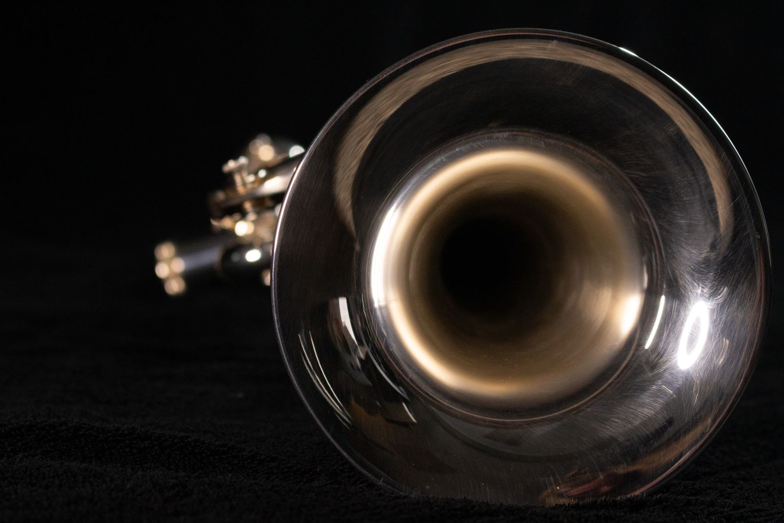Main image 6