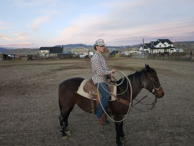 Kids/all around horse