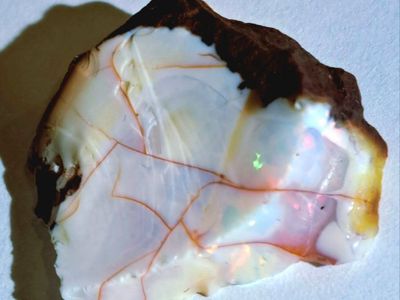 16.25 Carat Gem Quality Welo Opal with Rainbow Fire Color